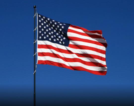 Celebrate the 4th of July with a True American Flag!
